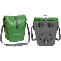 parrot green