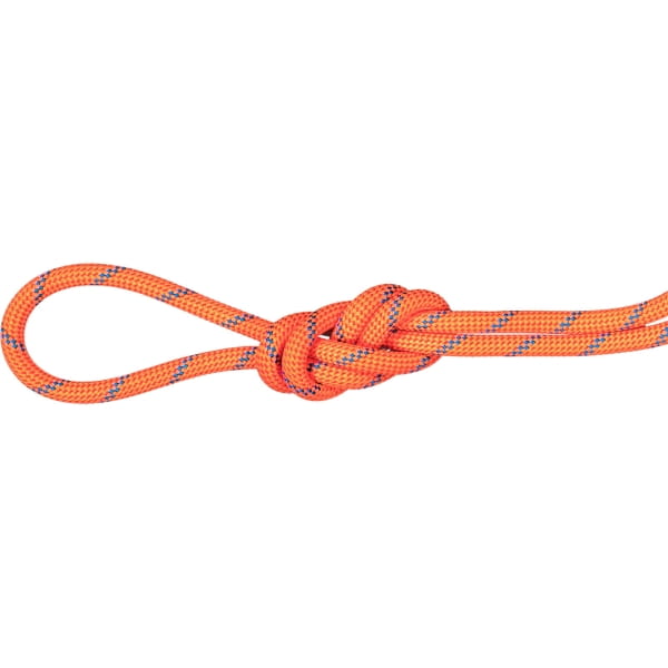 Mammut 7.5 Alpine Sender Dry Rope - Doppelseil fire-blue - Bild 1