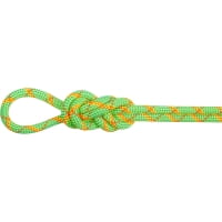 Mammut 8.0 Alpine Core Protect Dry Rope - Doppelseil
