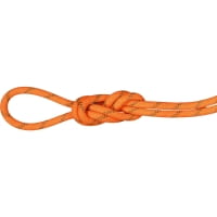 vibrant orange-boa