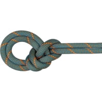 Mammut 9.9 Crag Workhorse Dry Rope - Sportkletterseil