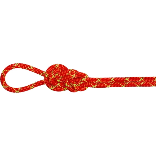 Mammut 8.0 Alpine Core Protect Dry Rope - Doppelseil fire-halo - Bild 3