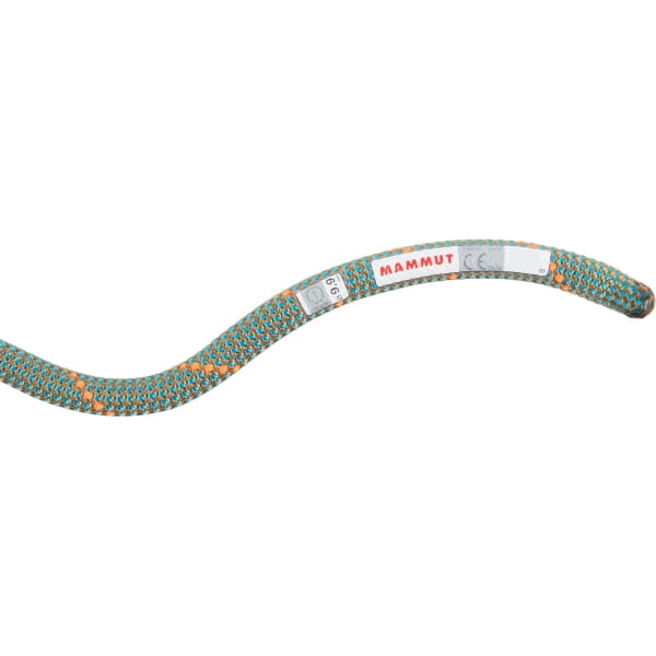 Mammut 9.9 Crag Workhorse Dry Rope - Kletterhallenseil boa-ocean - Bild 1 Mammut 9.9 Crag Workhorse Dry Rope - Kletterhallenseil boa-ocean - Bild 1