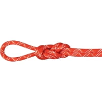 Mammut 9.5 Gym Classic Rope - Einfachseil