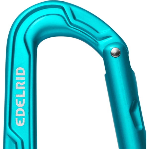 Edelrid Axiom - Karabiner mit Seilrolle icemint - Bild 4