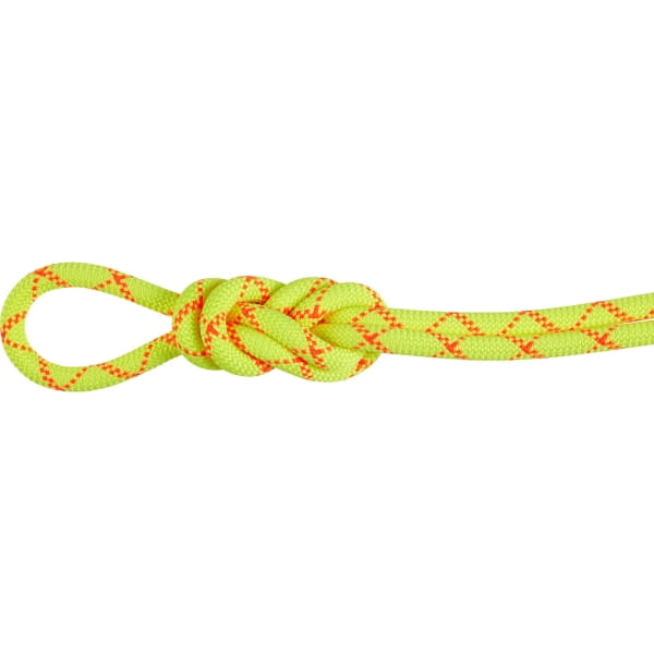 Mammut 9.5 Alpine Core Protect Dry Rope - Einfachseil halo-vibrant orange - Bild 1 Mammut 9.5 Alpine Core Protect Dry Rope - Einfachseil halo-vibrant orange - Bild 1