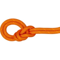 Mammut 9.8 Crag Dry Rope - Einfachseil