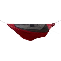 burgundy-black