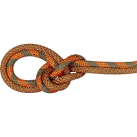 Vorschau: Mammut 9.5 Crag Dry Rope Duodess - Einfachseil boa-vibrant orange - Bild 1
